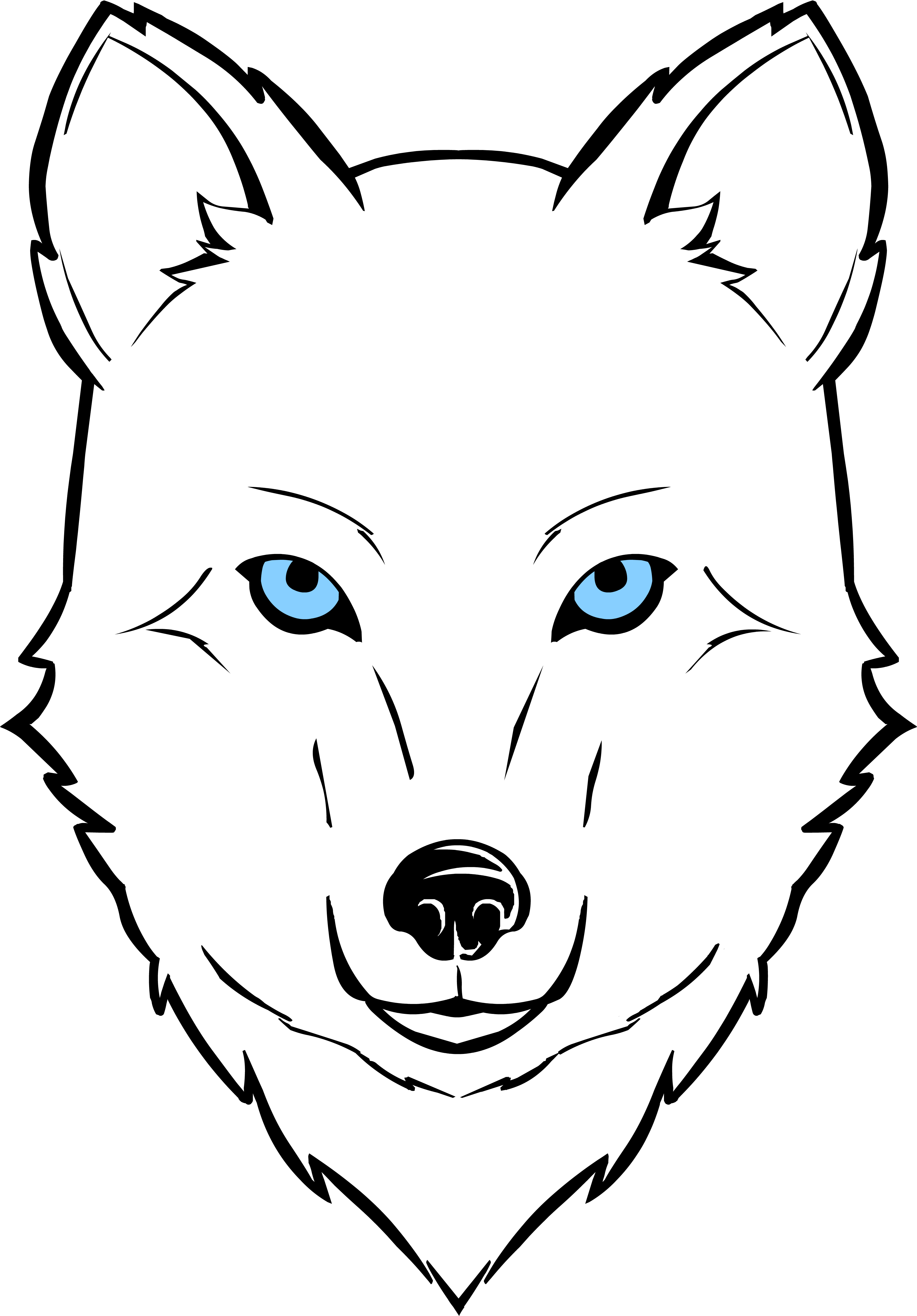 Randall Telfer (4195x6034), Png Download