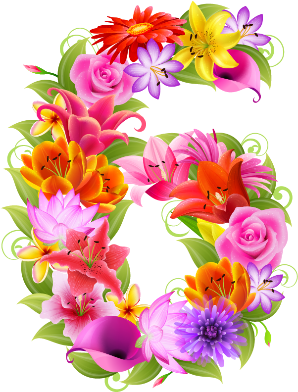 0 D50a4 D942e79f Xl (612x791), Png Download