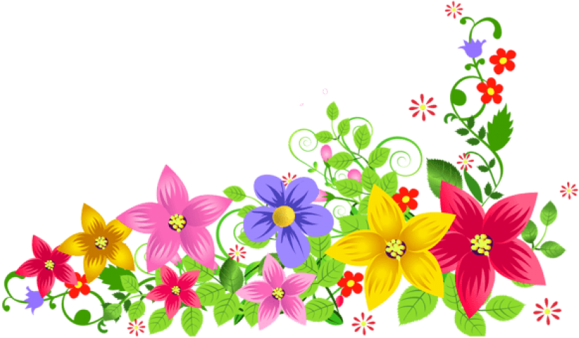 Download Transparent Floral Decoration Clipart Png (850x540), Png Download