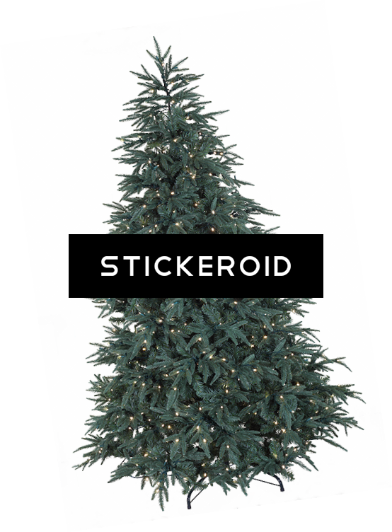 Christmas Outside (554x752), Png Download