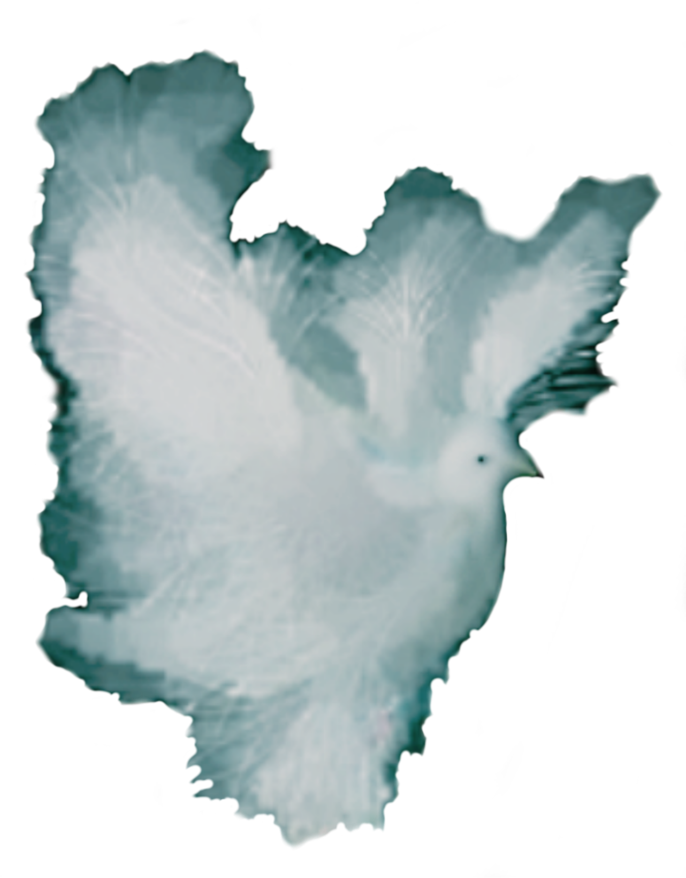 Big Image (1350x1727), Png Download
