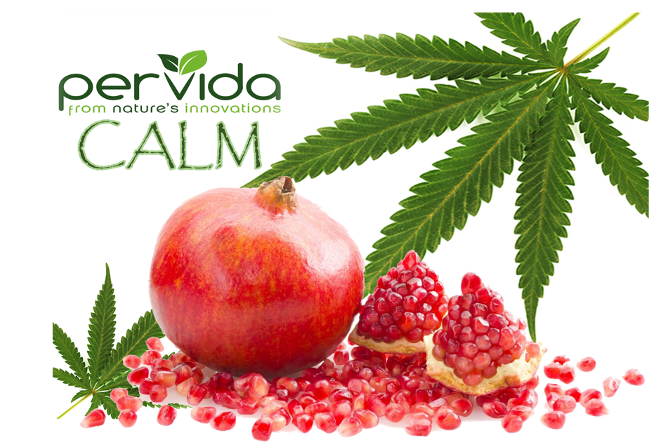 Pervida-calm (975x681), Png Download