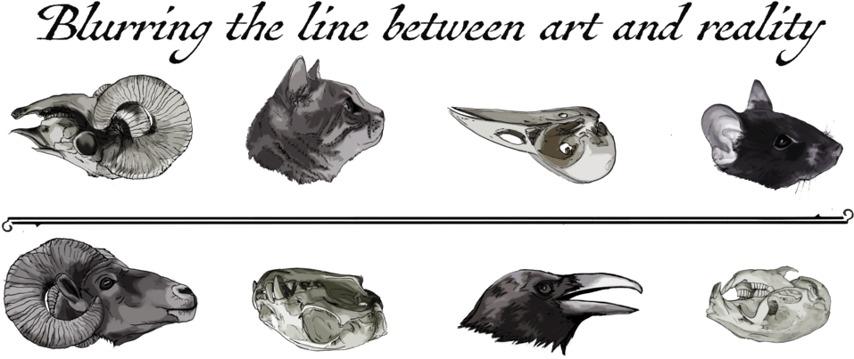 Rich Png (1000x475), Png Download