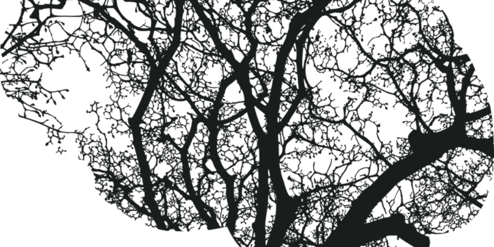 Brain Injury (1000x500), Png Download