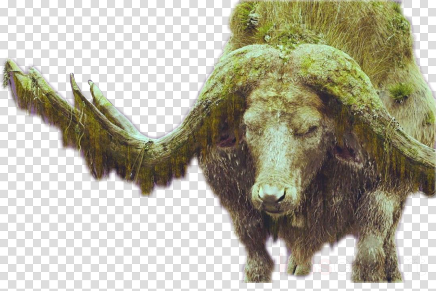 Kong Png (900x600), Png Download