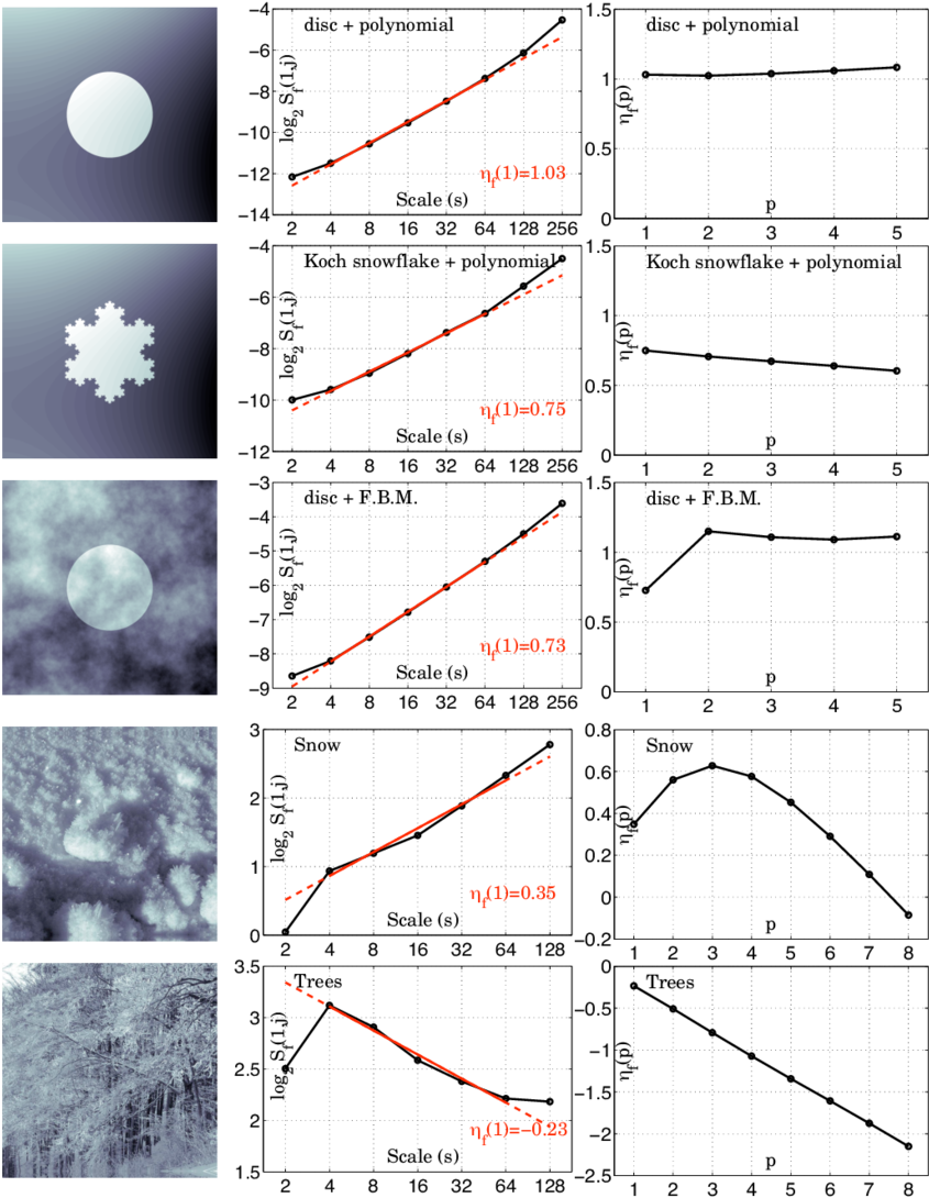 Indicator Functions Of A Disc And Of The Koch Snowflake (850x1097), Png Download
