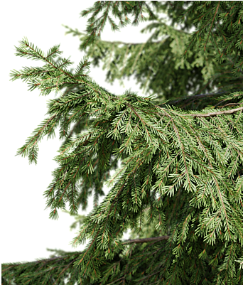 My Name Is Ján Morek And I Have Started An Interesting (800x400), Png Download