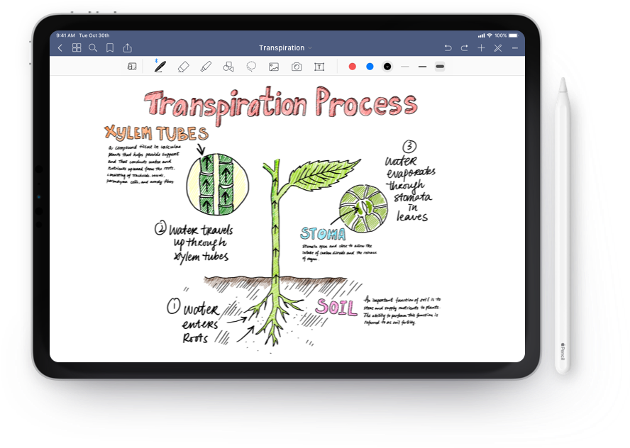 Leave Paper Behind (1024x680), Png Download