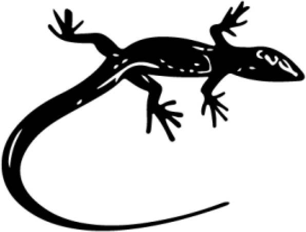 Gecko Clipart Rainforest Lizard (640x480), Png Download