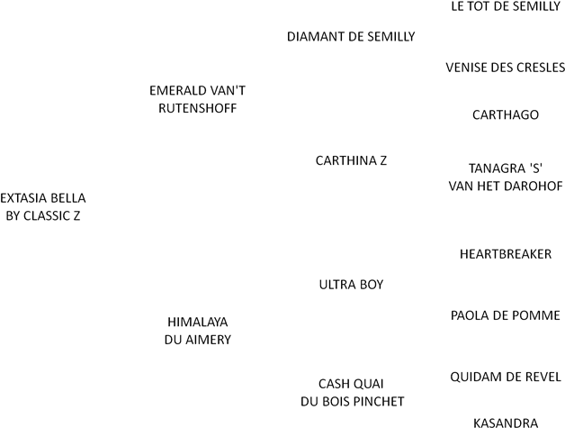 Pedigree Extasia (700x528), Png Download