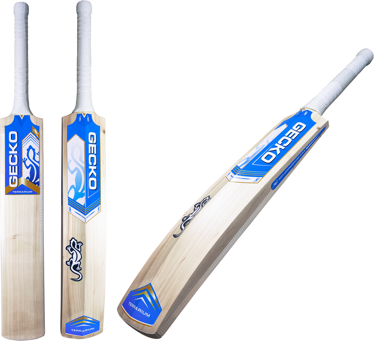 Gecko Terrrarium (1759x1759), Png Download