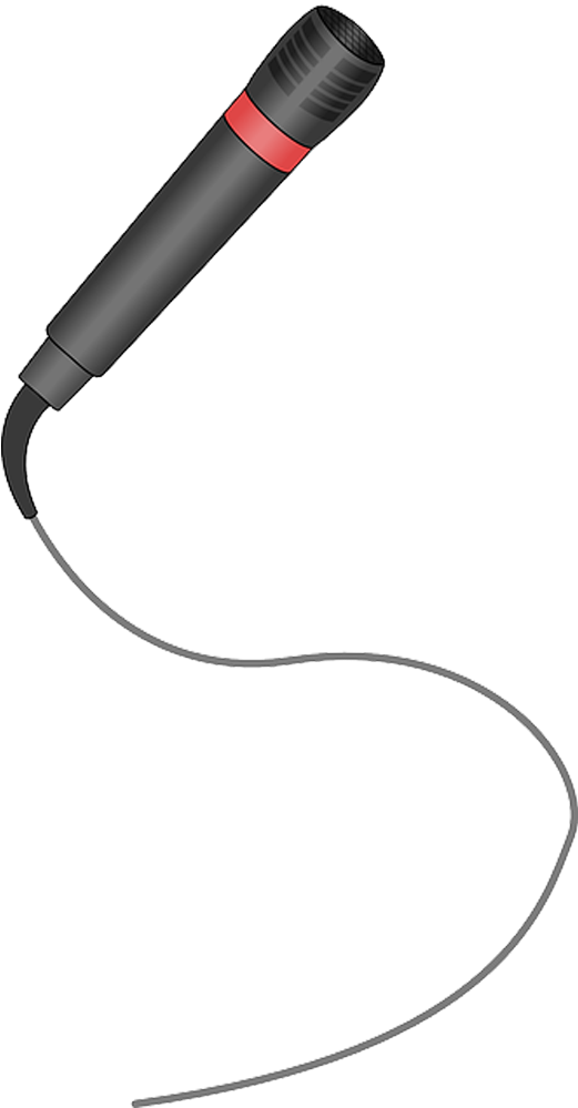 Microfone Em Png (768x1024), Png Download