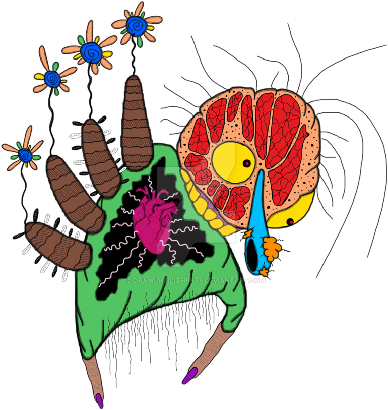 Trippy Clipart Flower (800x815), Png Download