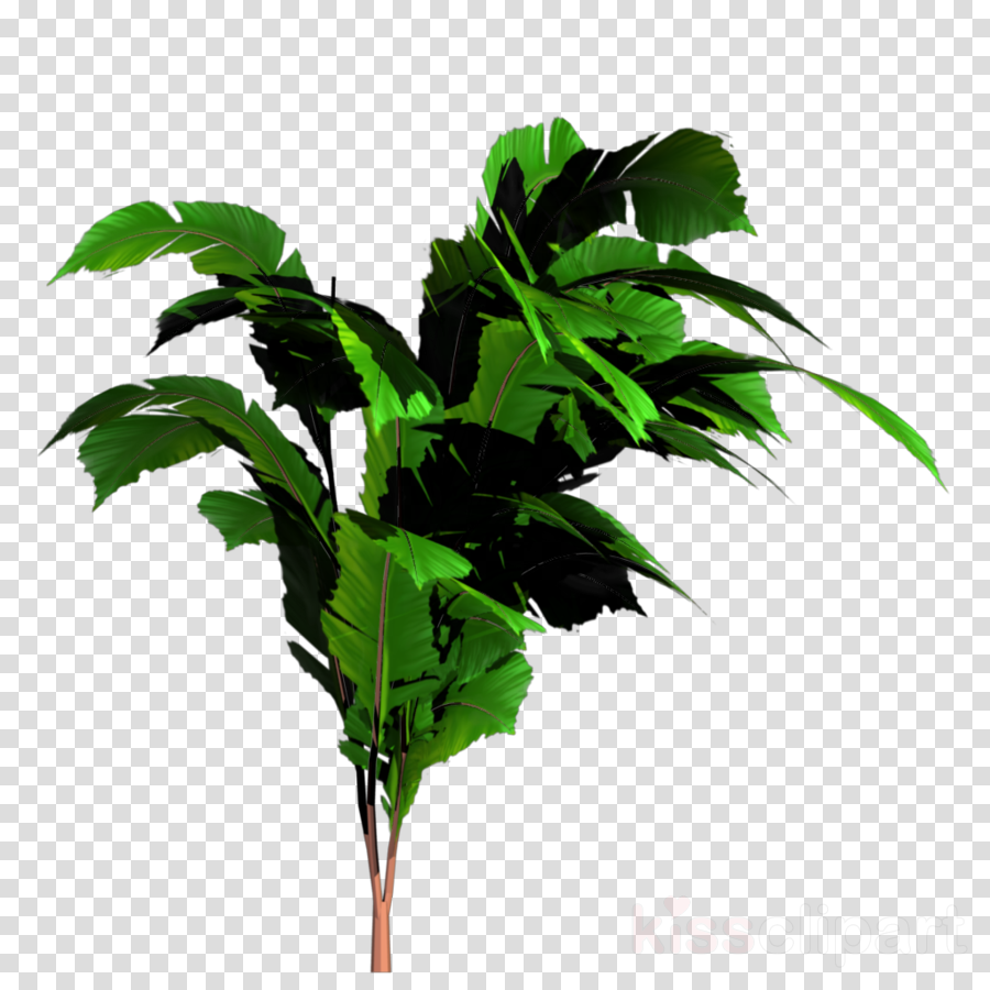 Banana Tree Plan Png Clipart Banana Bread (900x900), Png Download