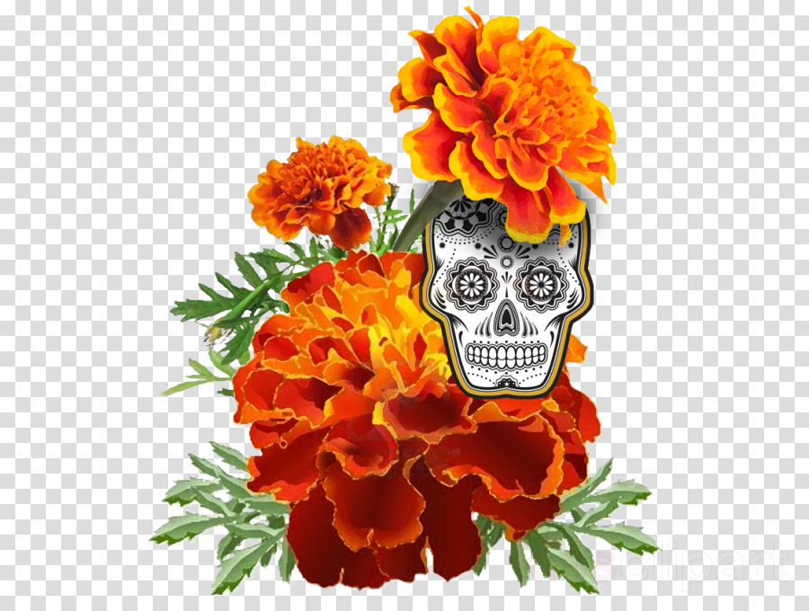 Dia De Los Muertos Skull Clipart Calavera Mexican Marigold (900x680), Png Download