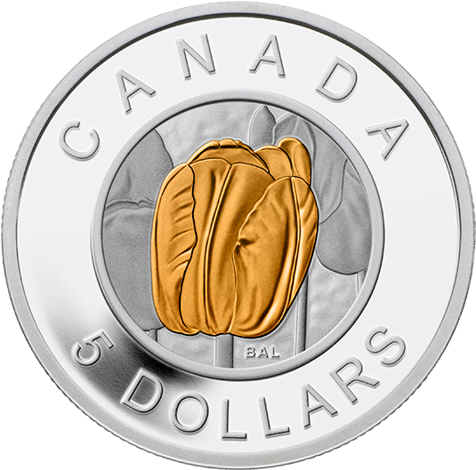 Fine Silver Coin With Niobium Colouring (570x570), Png Download