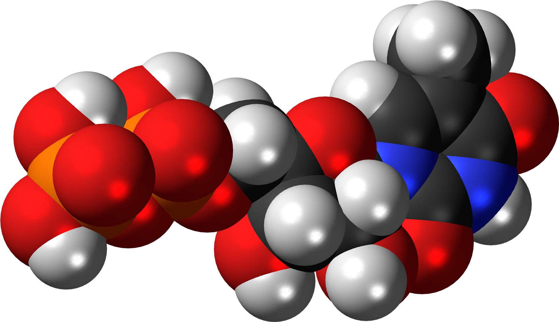 Ribothymidine Diphosphate 3d Spacefill (2000x1233), Png Download