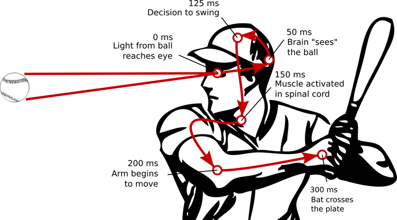 Baseball Flying Through The Air Png (800x444), Png Download