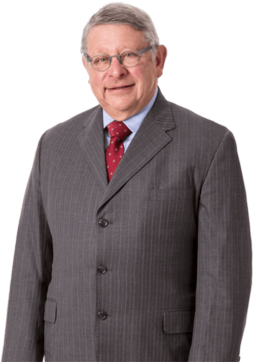 Steven E - Snow (500x833), Png Download