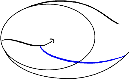 How To Draw Whale (678x600), Png Download