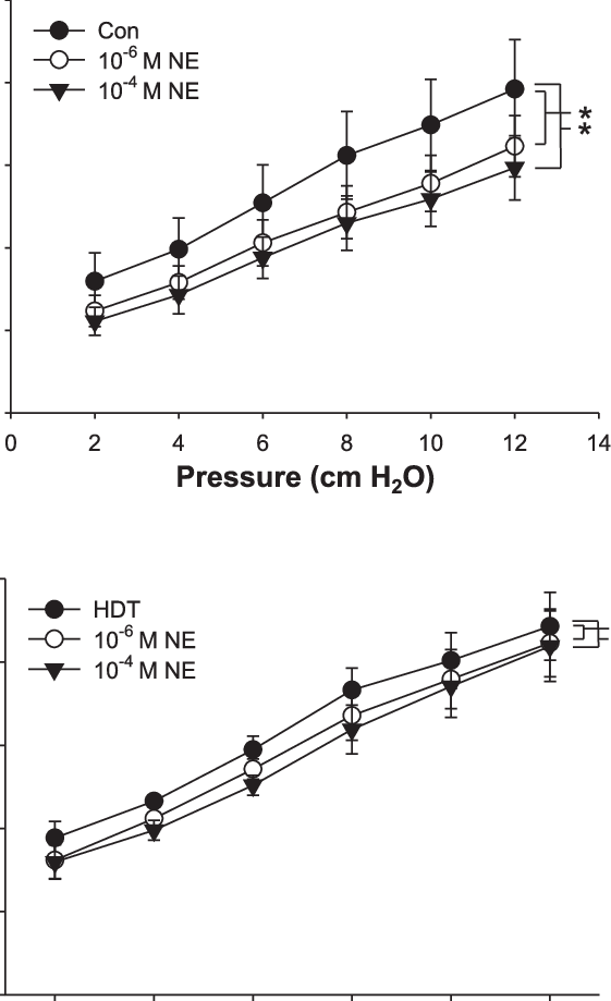 Pressure-diameter Responses After Exposure To Ne In (561x919), Png Download