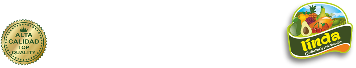 Prev Next (1200x400), Png Download