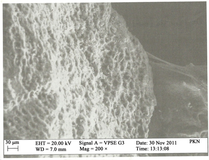 Pkn Before Adsorption (903x527), Png Download