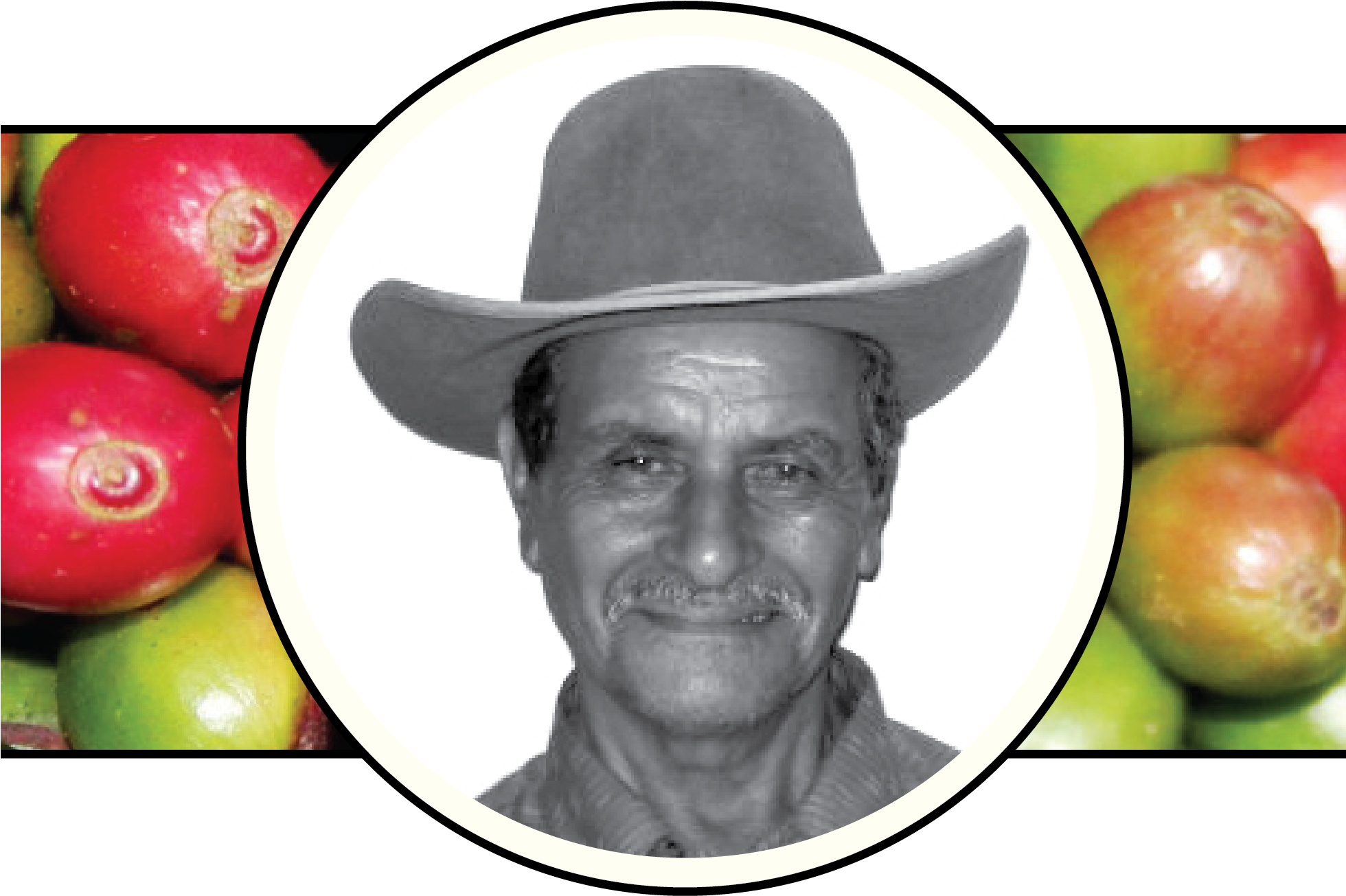 Ccr Tomas Image-01 (1959x1313), Png Download