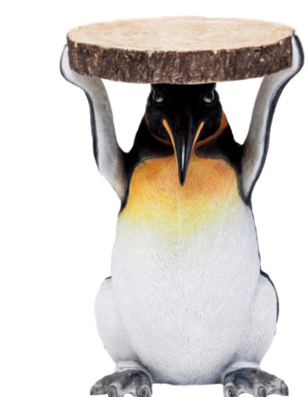 Pinguim Png (750x906), Png Download