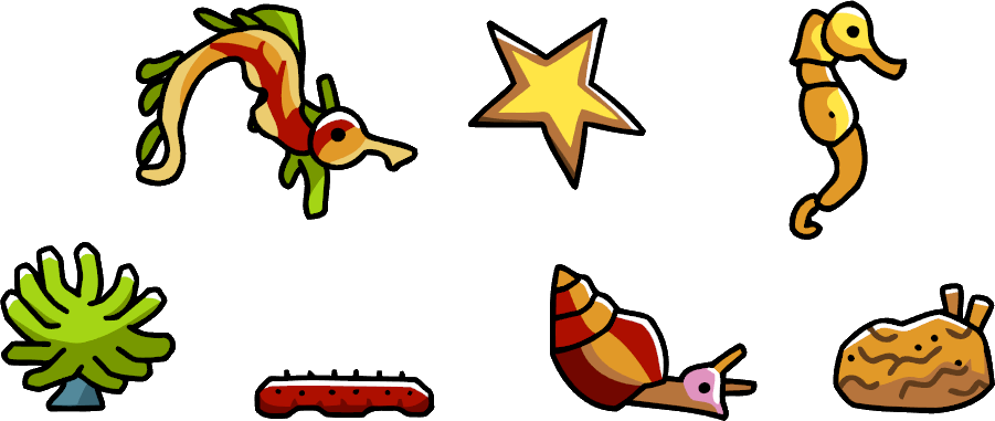 Tide Pool (901x381), Png Download