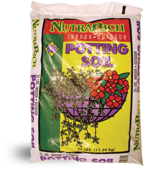 Outdoor Potted Plants Png (600x600), Png Download