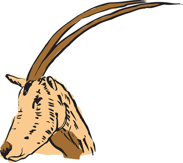 Cuernos En Antilope Clipart Antelope Horn Clip Art (640x570), Png Download