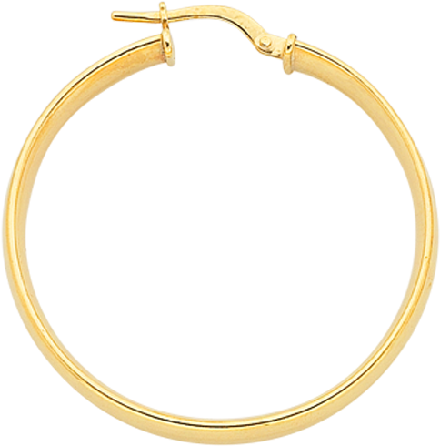 Gold Hoop Png (606x774), Png Download