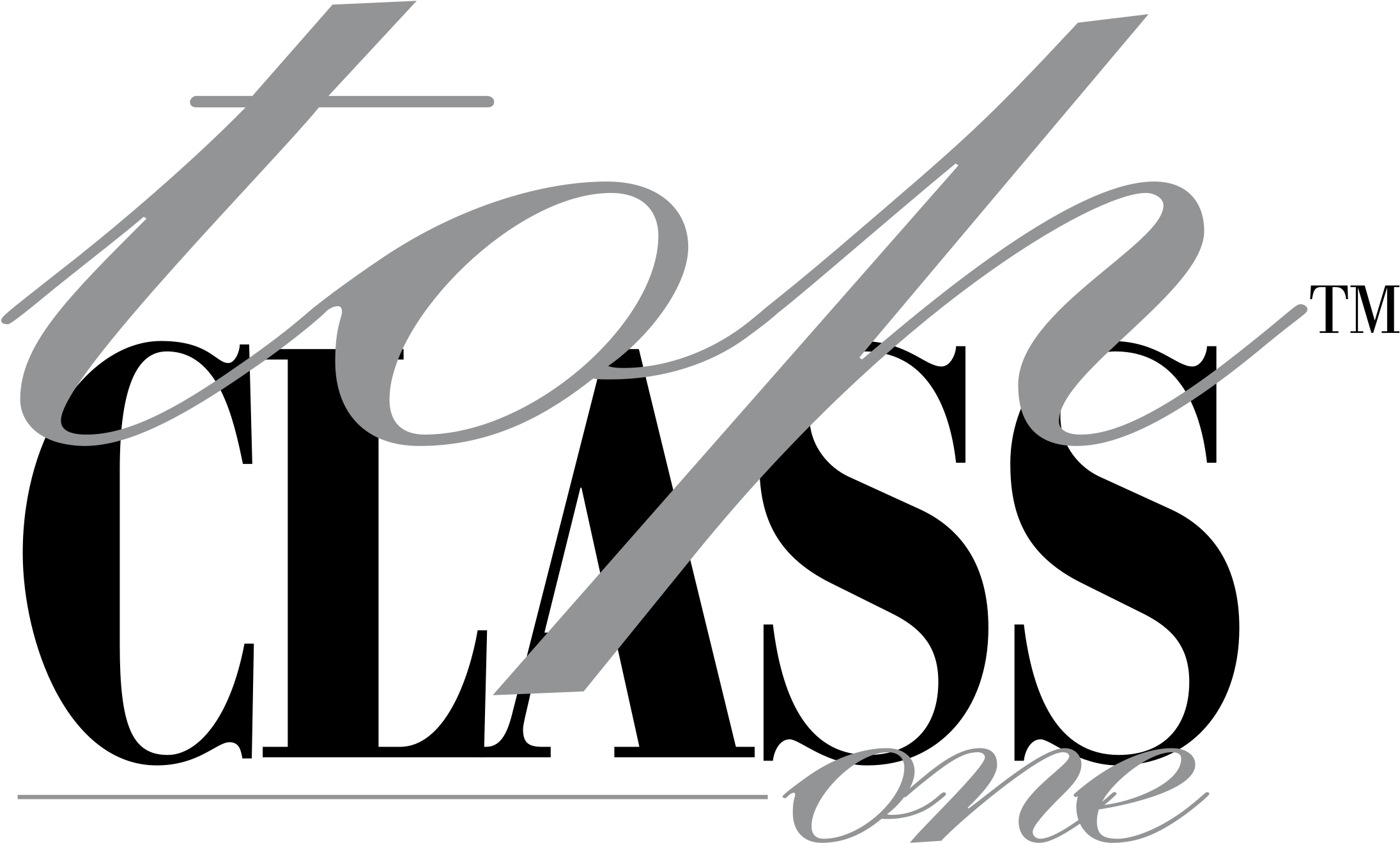 Top Class One Logo Png Transparent (2400x2400), Png Download