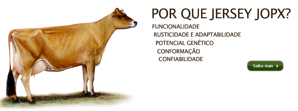 Fazenda Ipiranga (956x358), Png Download