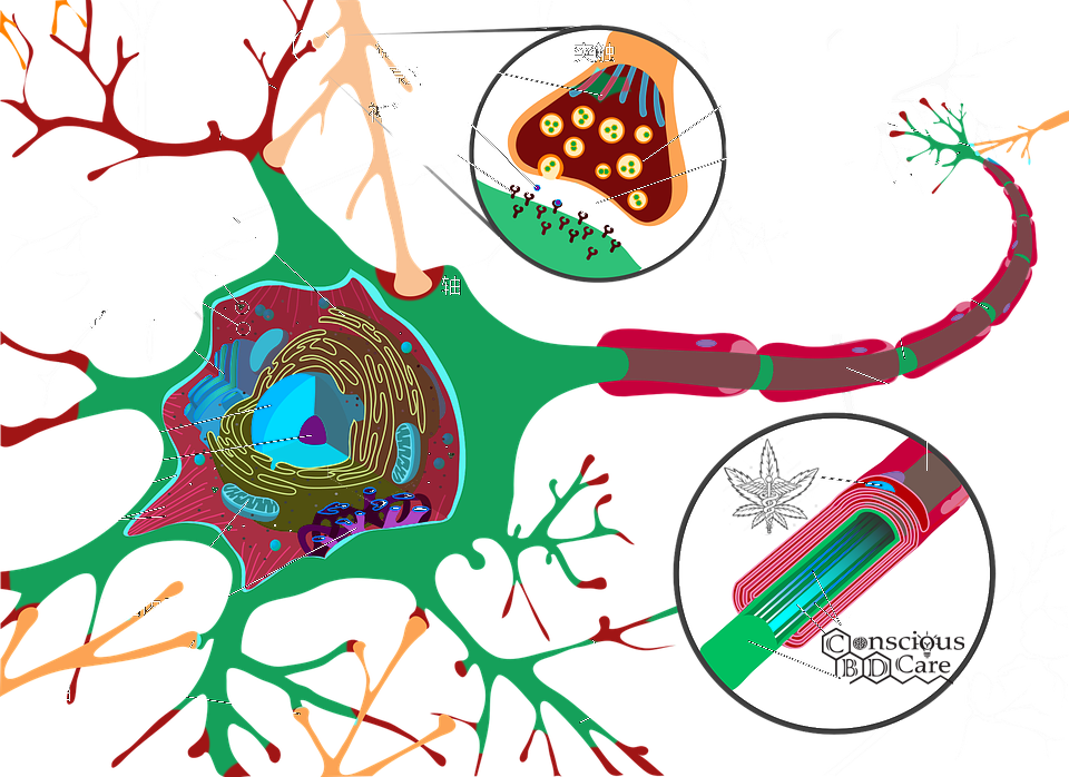 Follow Us On Facebook (960x698), Png Download