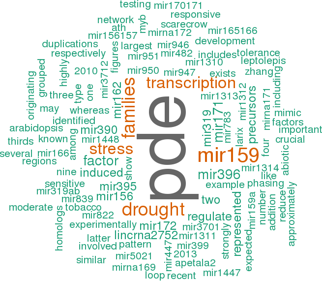 Stem Loop Sequence Ptc Mir169u (655x571), Png Download