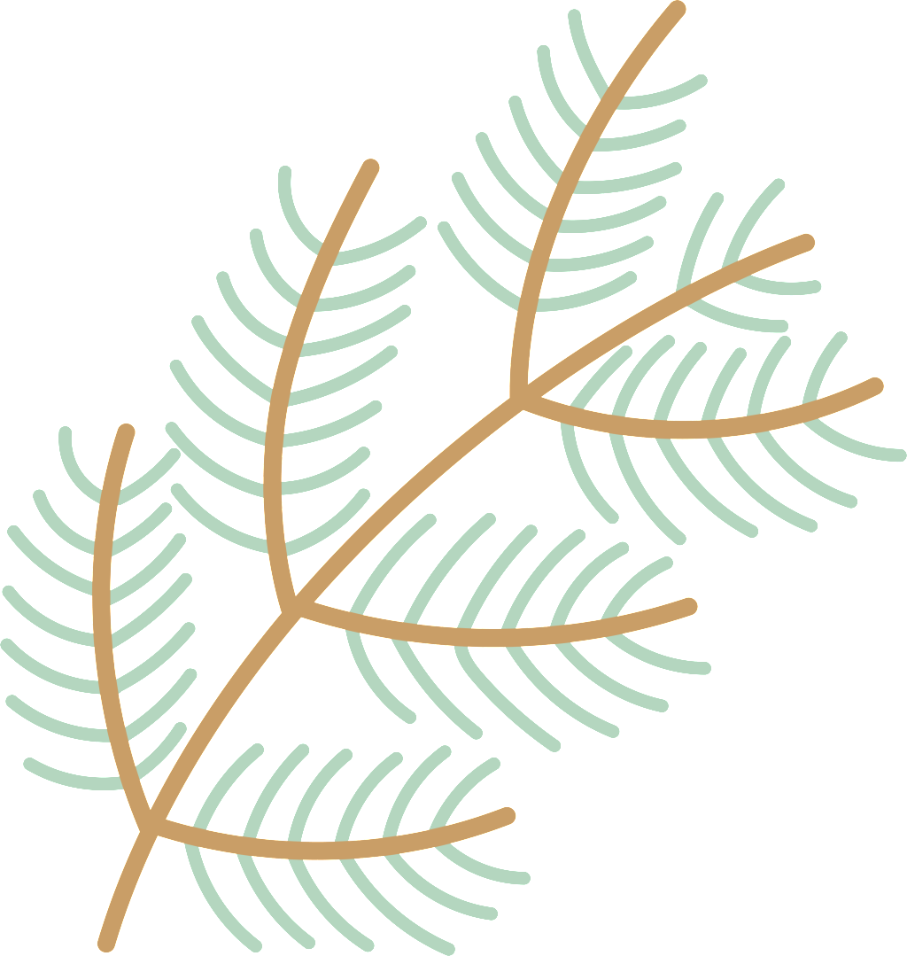 Green Leaves Christmas Cartoon Transparent (1024x1079), Png Download