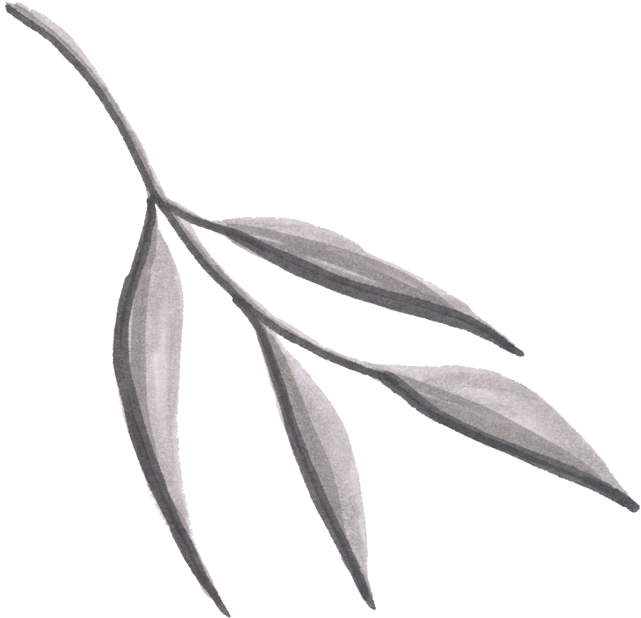 Hojas De Png Transparente (1024x1280), Png Download