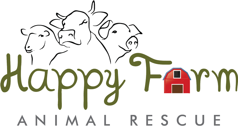 Facebook Twitter Youtube (770x419), Png Download