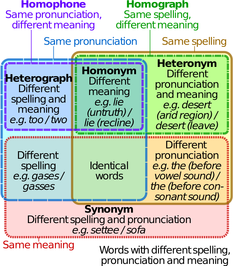 Homograph Homophone Venn Diagram (910x1024), Png Download