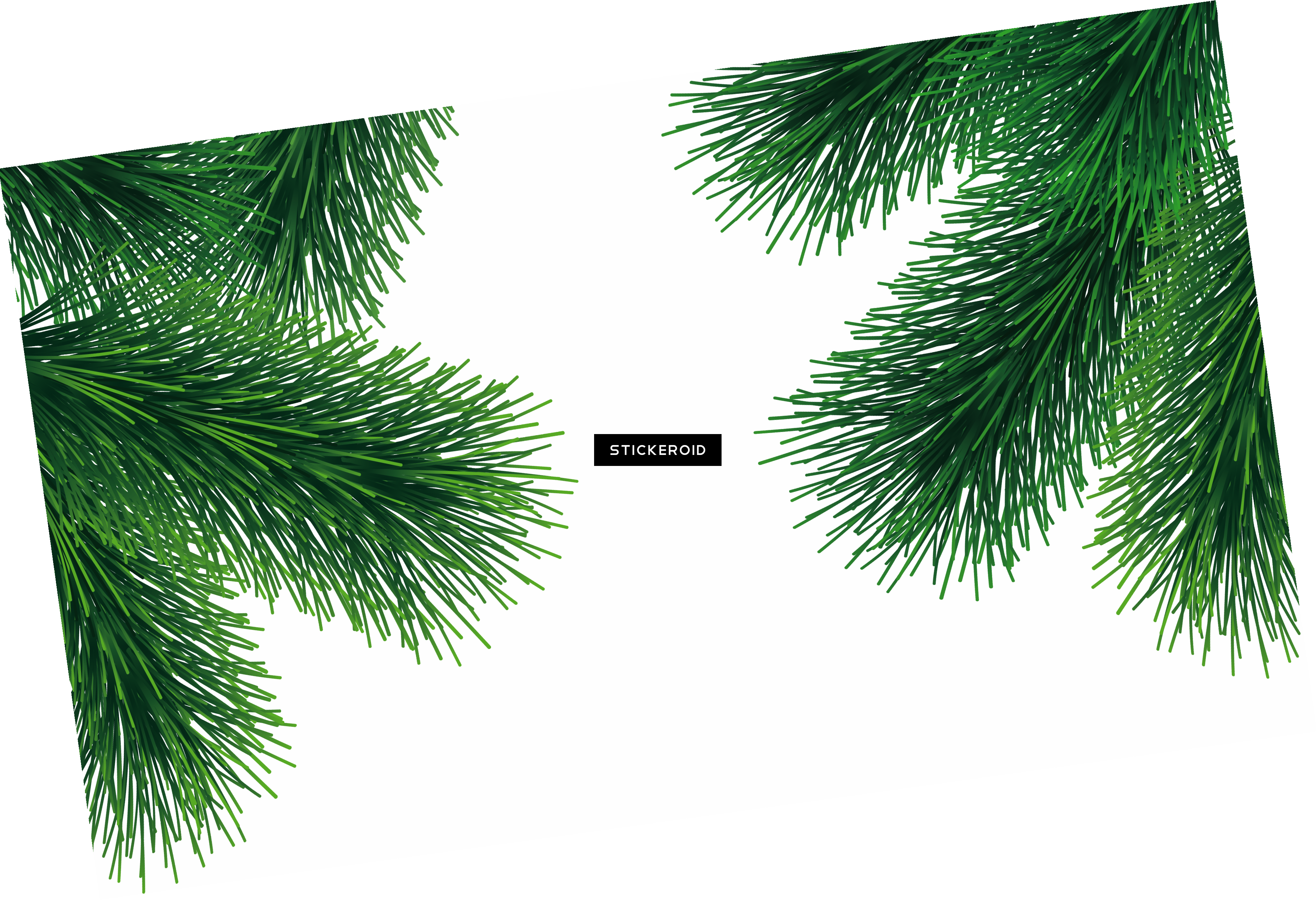 Green Fir-tree (3717x2542), Png Download