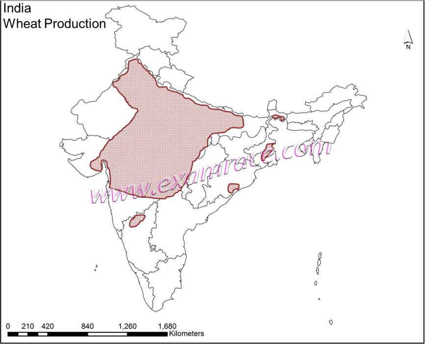 India Vegetation Youtube Lecture Handouts- Translation (867x702), Png Download