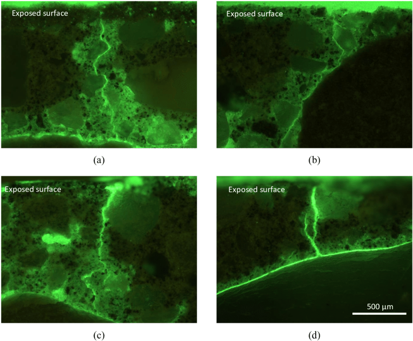 Fluorescence Microscopy Images Showing Example Microcracks (850x691), Png Download