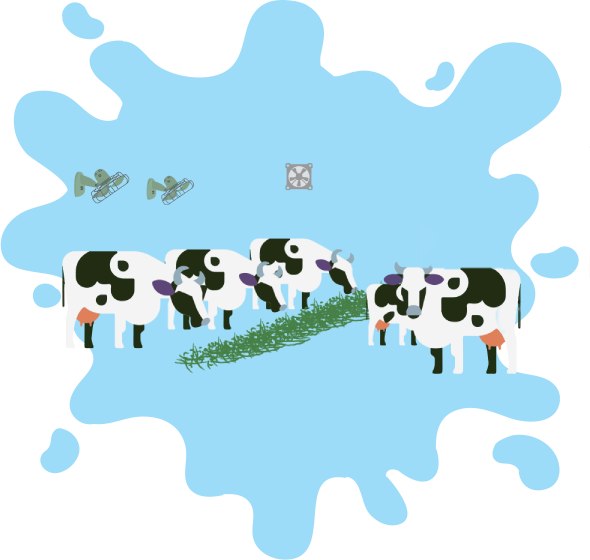 Quality Milk From Well-treated Cows (590x560), Png Download