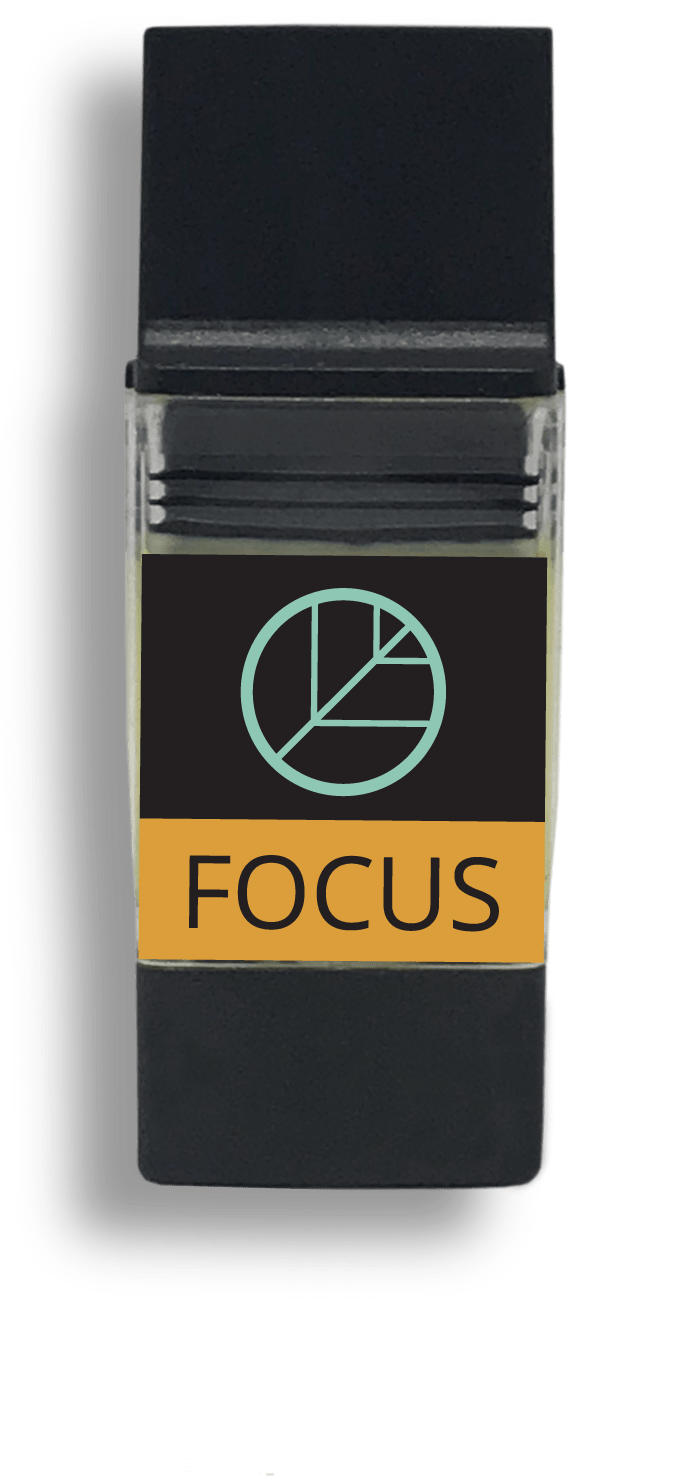 Focus Png (1500x1685), Png Download