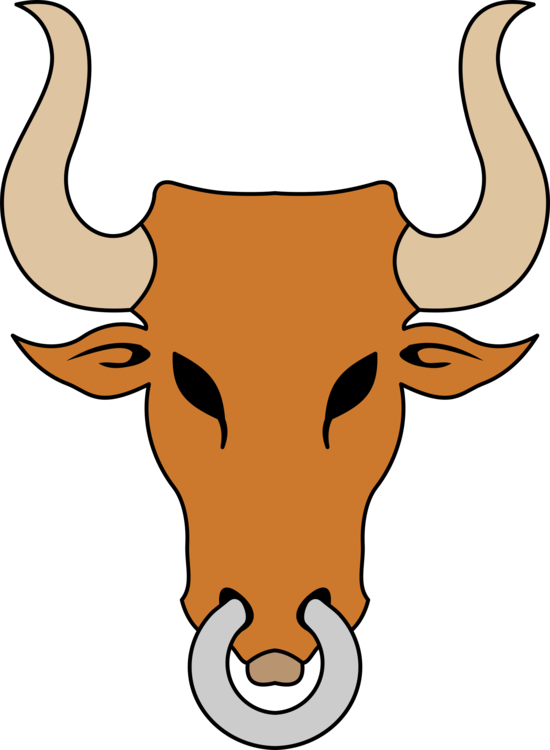 Cattle Ox Bull Horn Drawing (550x750), Png Download