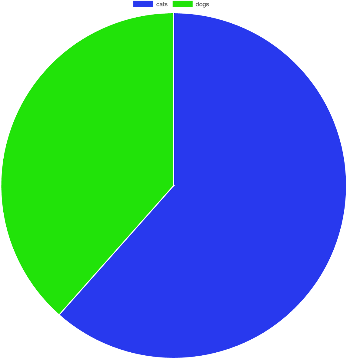 No Cats Or Dogs Were Hurt In The Making Of This Pie (1200x1200), Png Download