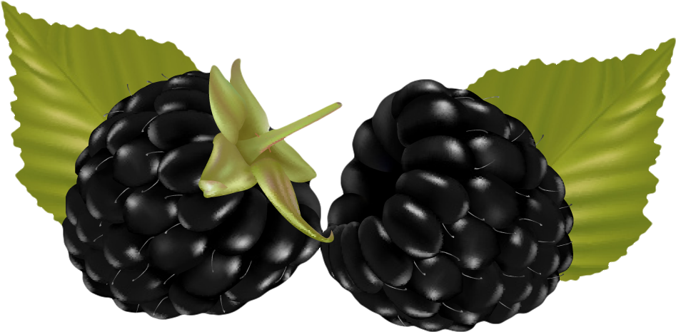 Fruits And Veggies, Clip Art, Journal, Illustrations, (1082x714), Png Download