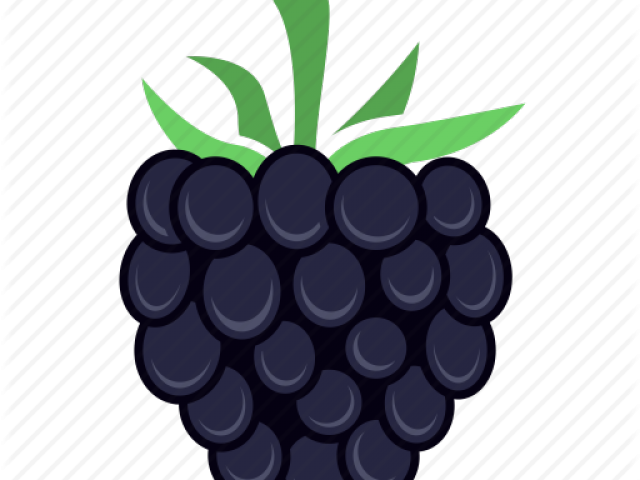 Blackberry Fruit Png (640x480), Png Download